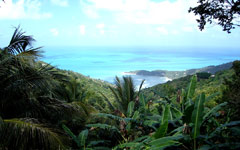 British Virgin Islands Holidays- British Virgin Islands Tortola
