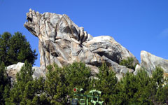 California Holidays - Disney california