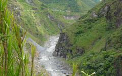 Ecuador Pastazas