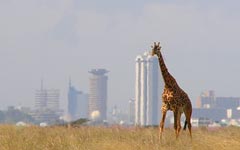 Kenya holidays