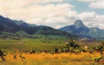 Mozambique Gurue Mount Murresse