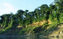 Peru riverbank
