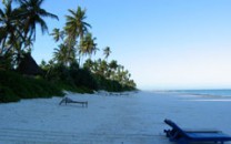 Zanzibar east coast beach