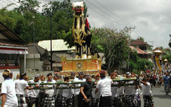 Bali Holidays - bali Cremation Procession