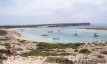 Formentera Sespalmador