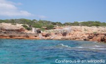 Formentera cliffs