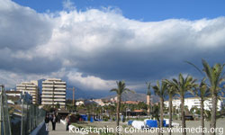 Puerto_Banus_Palm